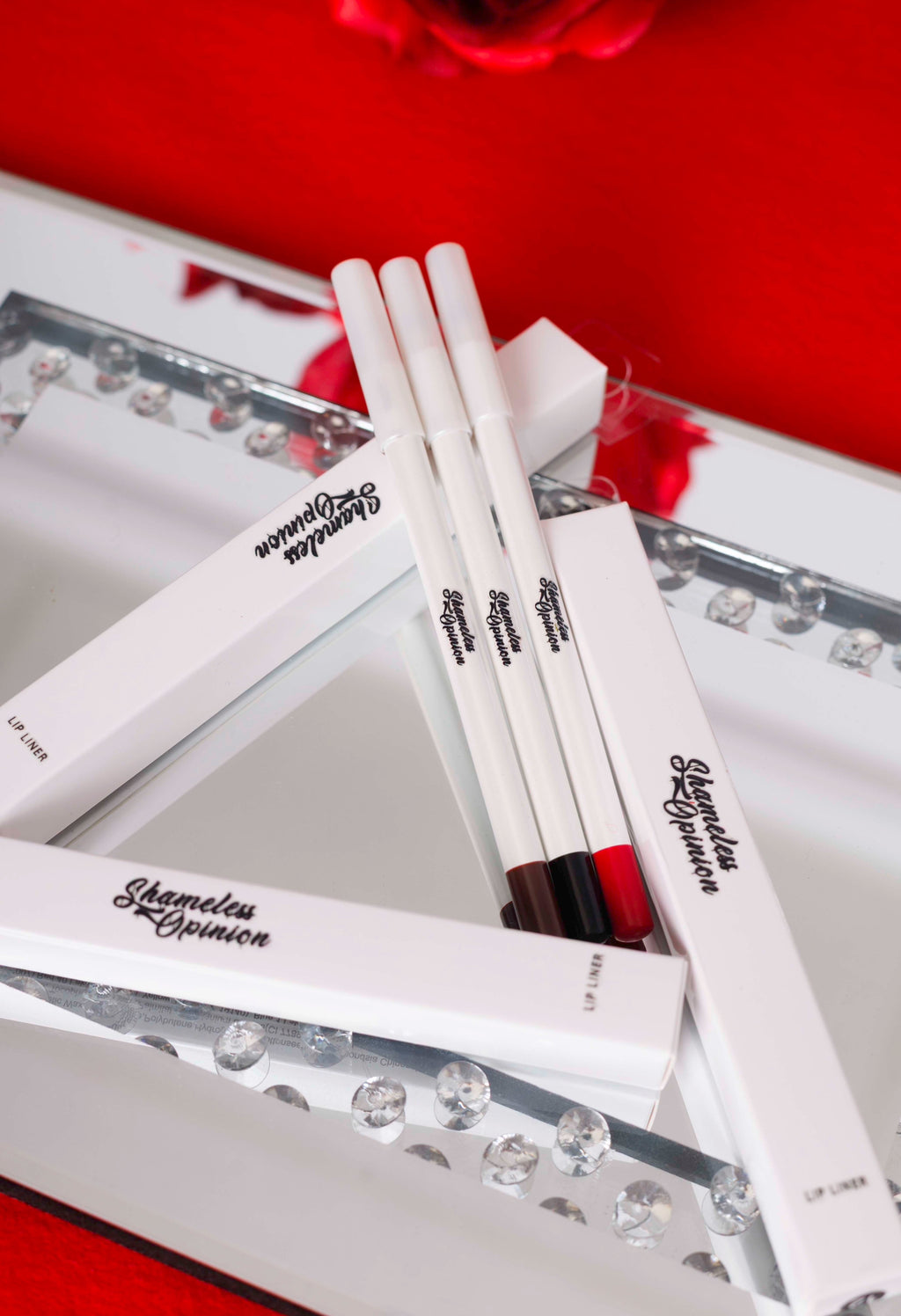 Shameless Opinion Beauty: lip liner