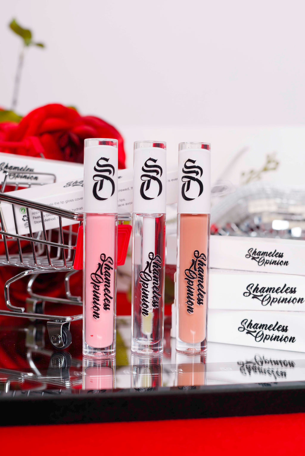 Shameless Opinion Beauty: Lip gloss